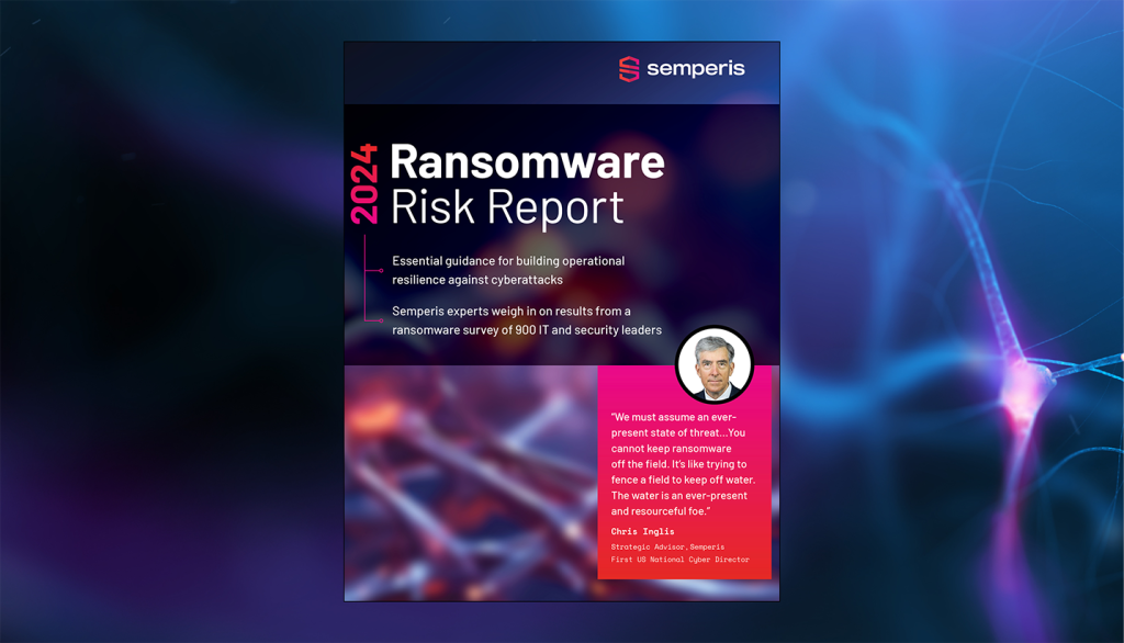 2024 Ransomware Risk Report